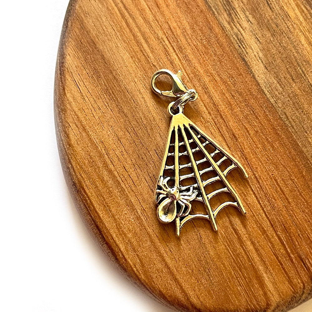 Spider-Web Charm